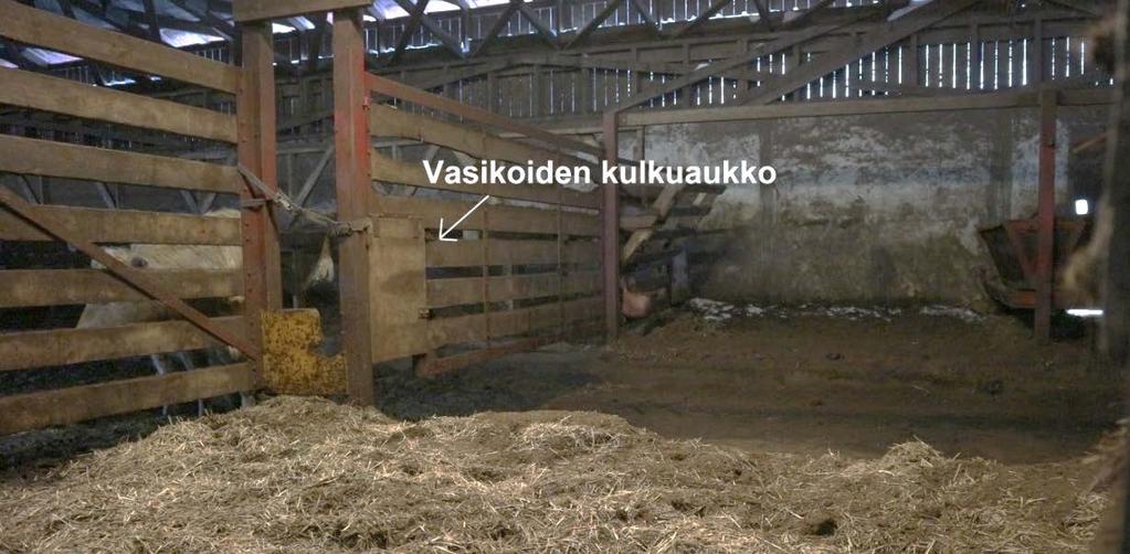 17 Makuuparsipihatossa usein vasikkapiilo sijoitetaan vastakkaisten parsirivien väliin tai seinän ja parsirivin väliin.