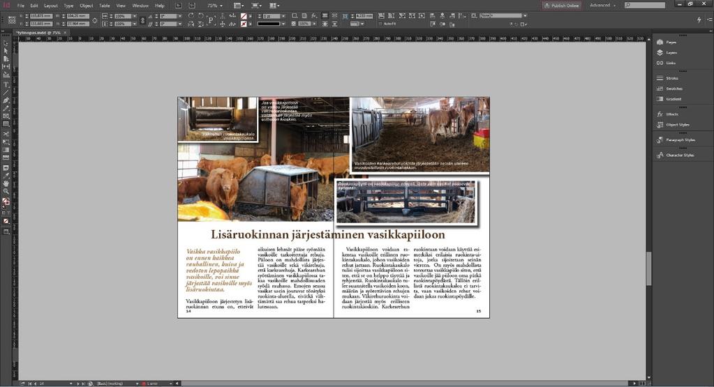 36 9 VASIKKAPIILO-OPPAAN TOTEUTUS Opinnäytetyö on myös toiminnallinen, koska työn pohjalta luodaan opas vasikkapiiloista.