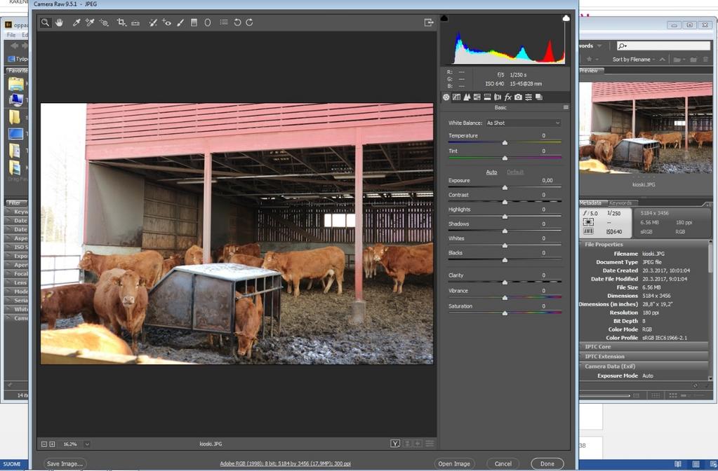 37 KUVA 10. Adobe Bridge-kuvanmuokkasohjelman näkymä Tekstin jälkeen lisättiin kuvat.