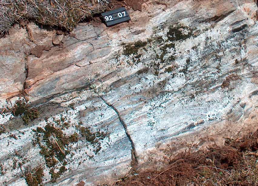 Luukkolansaaren Eteläpohjanlahden (3143 08) rannassa on isohko kalliopaljastuma mafista agglomeraattia, jonka päämineraalit ovat plagioklaasi ja sarvivälke (Heinonen 1987).