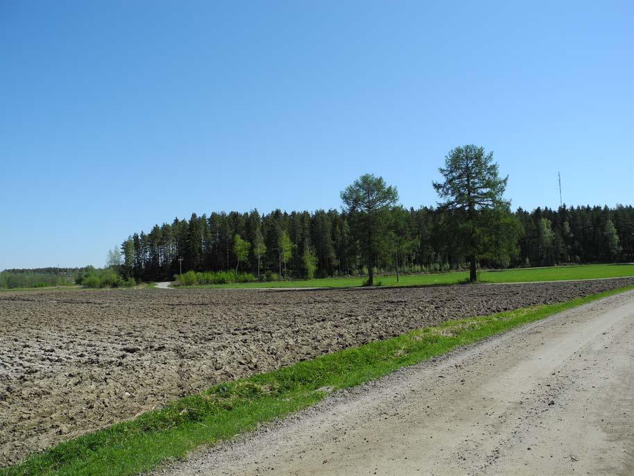 7 Metsäpalsta, jonne rakennuspaikka siirretään. 4. ASEMAKAAVA Asemakaava on laadittava ja pidettävä ajan tasalla sitä mukaa kuin kunnan kehitys tai maankäytön ohjaustarve sitä edellyttää (MRL 51 ).