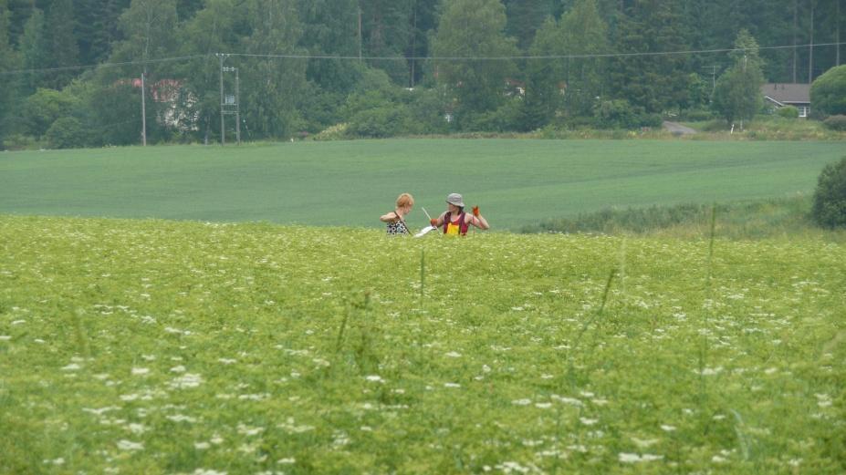 Muut kasvustosta tehdyt havainnot Lohkokohtaiset yleisarviot Kukinnan