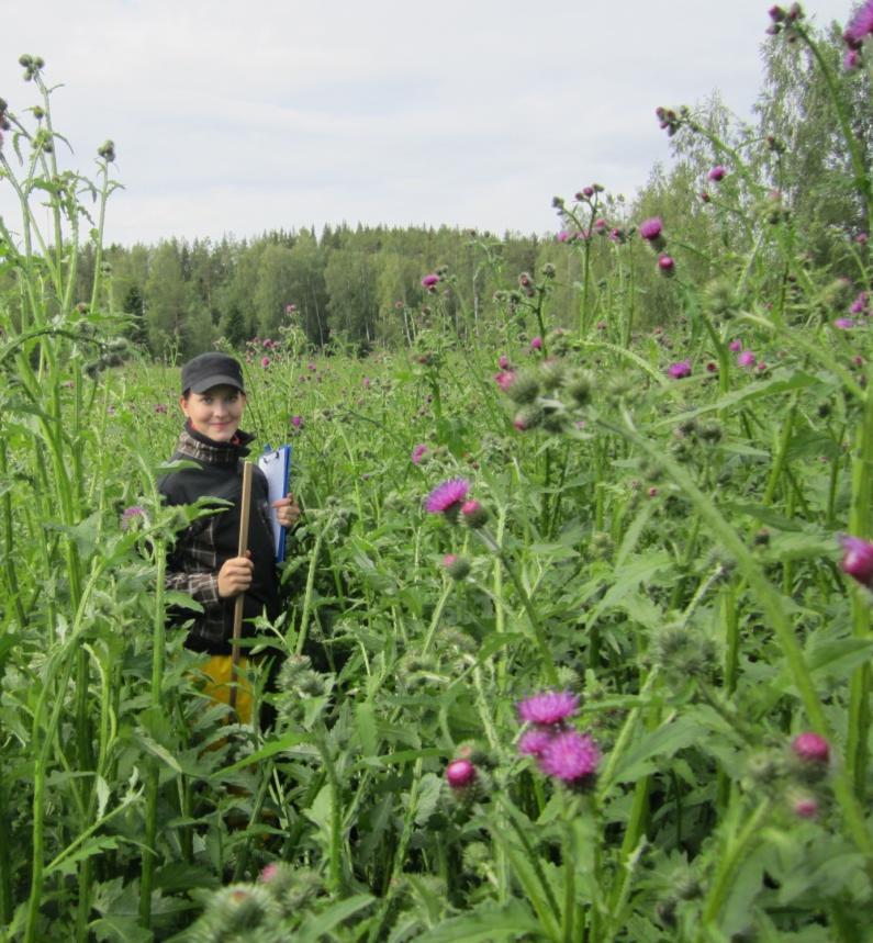 Tilakierrokset 2011 & 2012 Rikkakasvit Pahoja rikkakasviongelmia osalla lohkoista Rikkakasvien yleisyys ei lainkaan / vähän pesäkkeinä / melko paljon paljon koko lohkolla 2011 28.4 % 54.9 % 16.