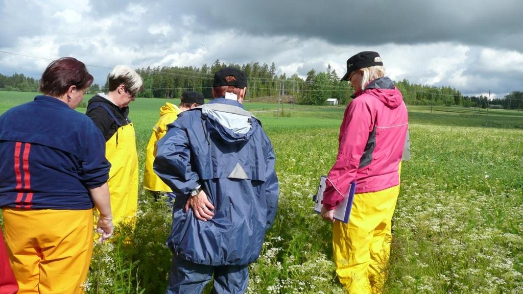 Tilakierroksen tavoitteet Selvittää satovaihteluiden ja sadon alenemisen syyt ja yhteydet viljelykäytäntöihin Kartoittaa kuminapeltojen kunto, kasvintuhoojien esiintyminen &