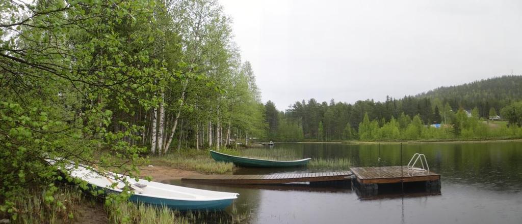 Lähtötietoina selvityksessä on käytetty aiempia selvityksiä, peruskarttoja, ilmakuvia ja ympäristöhallinnon tietokantojen (OIVA, Hertta). Maastossa käytiin 15.6.2015.