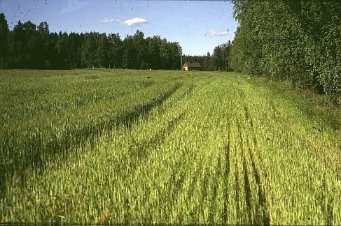 lätäköityminen pinnan muodot, pinnan liettyminen (mm.