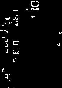 fl w, s v