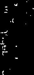 L3