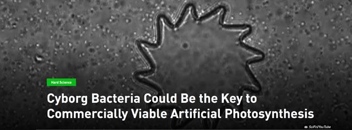 IN BRIEF In an effort to improve the efficiency of natural photosynthesis, a researcher at the University of California, Berkeley, has created cyborg bacteria.