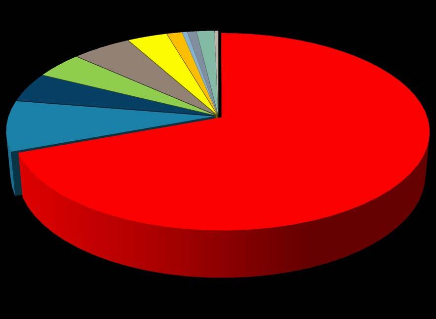 Työllisyyspalvelujen budjetti 2017 (24,2 M ) 1279 860 1037 1160 2002 327 108 200 385 79 1000 Työmarkkinatuen kuntaosuus Ostopalvelut Palkkatuettu työllistäminen, oma Jyväskylä-lisä