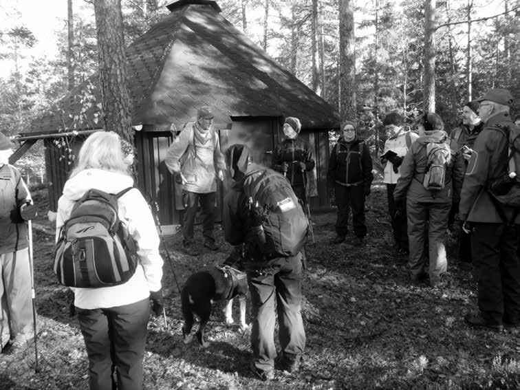 Oaivin vaellus Turun Latu patikoi perinteisen Oaivin vaelluksen tänä vuonna lauantaina 21.10.2017. Kokoontuminen on klo 9.00. Ruissalon telakan(tammenterhon) luona olevalle yhdystielle.