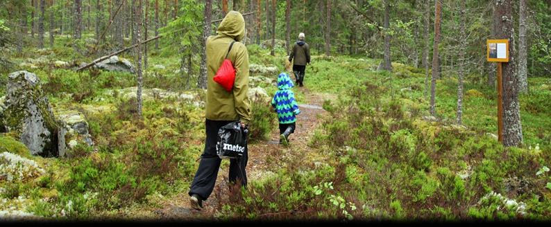 Haaravuori Luontopolku lähimetsässä Haaravuori on haapamäkisten oma lähivirkistysalue.