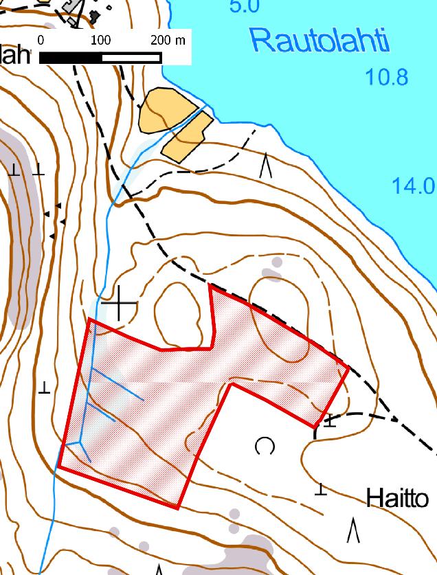 Haitto- Korven kuiskintaa Haiton 9 hehtaarin metsä on rauhoitettavaksi esitettävistä alueista pienin.