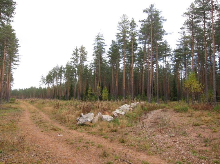 Mikään ei kuitenkaan estä alueella liikkujaa kulkemasta vanhaa reittiosuutta pitkin ja