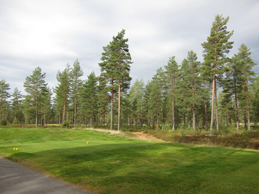 40 Kuva 23. Osa siirretystä reitistä golfkentän maastossa. Kuva 24.