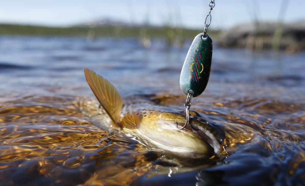 FISKEREGLER I de aller fleste vann og vassdrag på Finnmarkseiendommen kan du fiske med stang og håndsnøre, og i de fleste innsjøer kan du også fiske med oter.