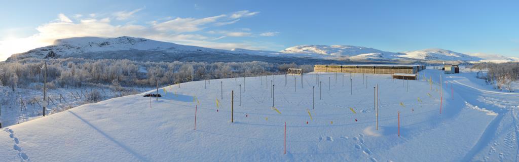 Sodankylä Geophysical Observatory University of Oulu KAIRA Kilpisjärvi Atmospheric Imaging Receiver Array KAIRA on toimiva monikeilavastaanotin EISCAT VHFtutkalle.