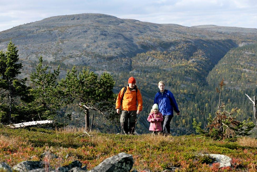 AKTIVITEETIT 14 Sodankylässä ei tarvitse odotella lomaa päästäkseen vastaamaan erämaan kutsuun. Vilkas ja idyllinen keskusta vaihtuu eräelämykseksi jo muutaman minuutin ajomatkan jälkeen.