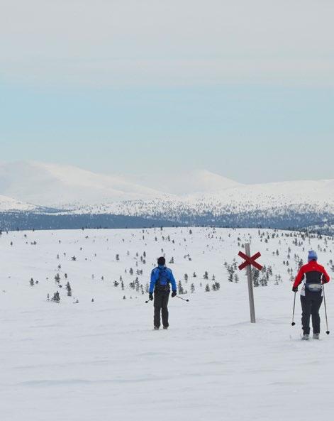 visitsodankyla.fi Metsähallitus, Pasi Nivasalo Pyhä-Luoston kansallispuisto Kurujen syvyys ja kerojen korkeus, miljardeja vuosia vanha kallioperä ja aarniometsät luovat mittakaavaa ihmiselämälle.