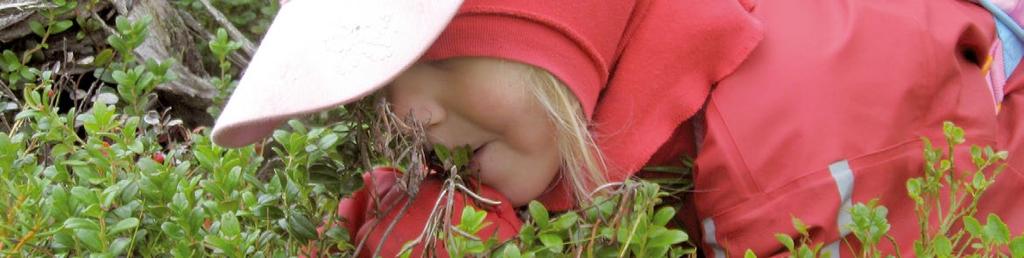 AKTIVITEETIT 18 PYÖRÄILY/MAASTOPYÖRÄILY Pyöräily on hieno tapa tutustua Lapin luontoon ja paikallisiin kyliin. Pyöräilijöille löytyy haastetta niin maantieltä kuin maastostakin.