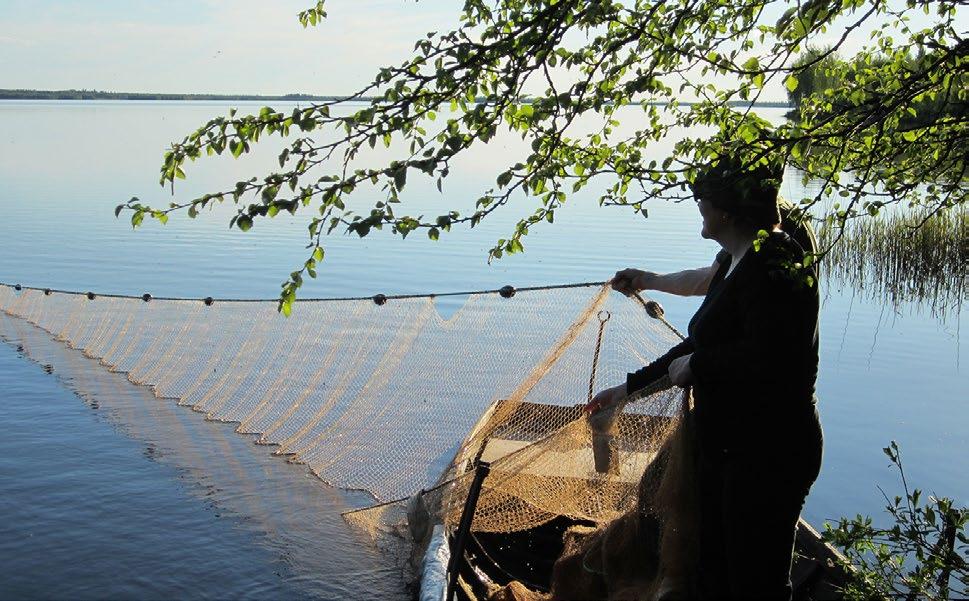 KYLÄT Kaiken kaikkiaan Sodankylän laajaan kuntaan mahtuu 30 elinvoimaista kylää. Tässä esittelyt muutamista. 20 ASKA Askan kylän nimi on saamea ja tarkoittaa paannejäätä.