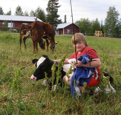 KYLÄT 22 RAUDANJOKI Raudanjoella halutaan ja osataan yrittää. Sodankylän etelärajalla E4-tien varrella sijaitsee merkillinen kylä, tai pikemminkin esimerkillinen.