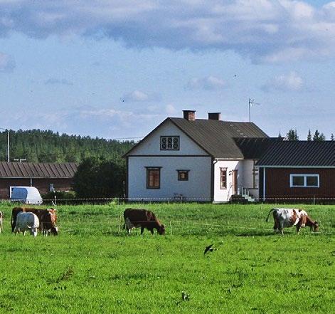 Raudanjoella toimivia yrityksiä on ainakin 15 eli useammassa kuin joka toisessa talossa toimii yritys. Työn puutetta ei ole jääty jahkailemaan, jos työpaikkaa ei ole ollut, se on tehty.