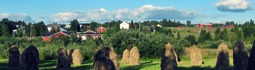 fi Kullanhuuhdonnan SM-kisat Kullanhuuhtojat ja heidän ystävänsä kokoontuvat Tankavaaran perinteisiin Kullanhuuhdonnan SM-kisoihin. Tapahtumassa valitaan myös Tankavaaran teräshenkilö.