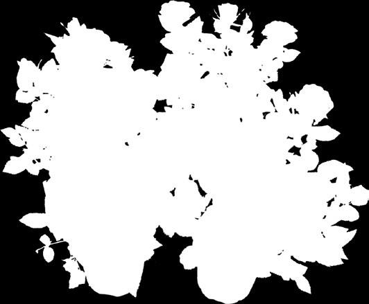 3,95) (yksittäin 0,99)