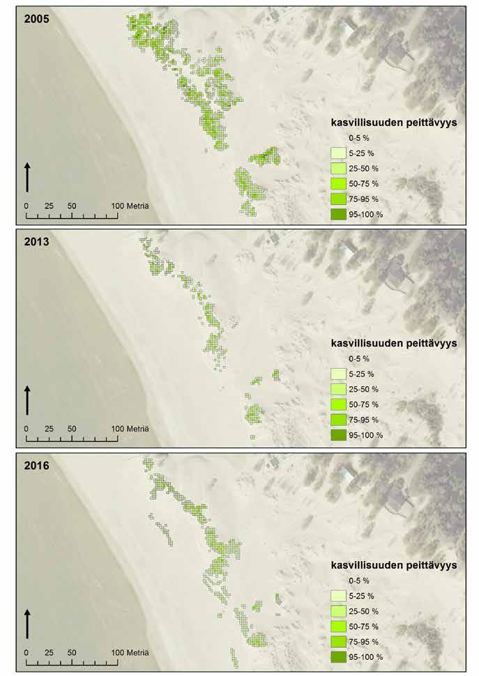 Kuva 10. Kasvillisuuden peittävyys peittävyysluokittain vaurioituneella esidyynillä vuosina 2005, 2013 ja 2016.
