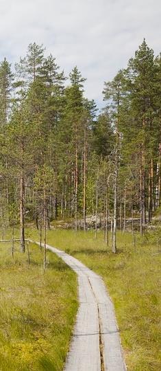 Tukes kuluttajapalveluiden turvallisuusvalmentajana Tukes auttaa palveluntarjoajia turvallisuuden jatkuvassa parantamisessa ja turvallisuuden suunnitelmallisuuden, tavoitteellisuuden ja ennakoinnin