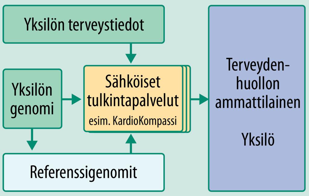 Widén ja