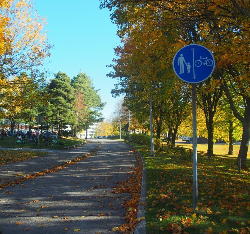 SISÄLTÖ Nykytilanteen analyysi Koulukeskuksen alueen liikenteelliset ongelmat
