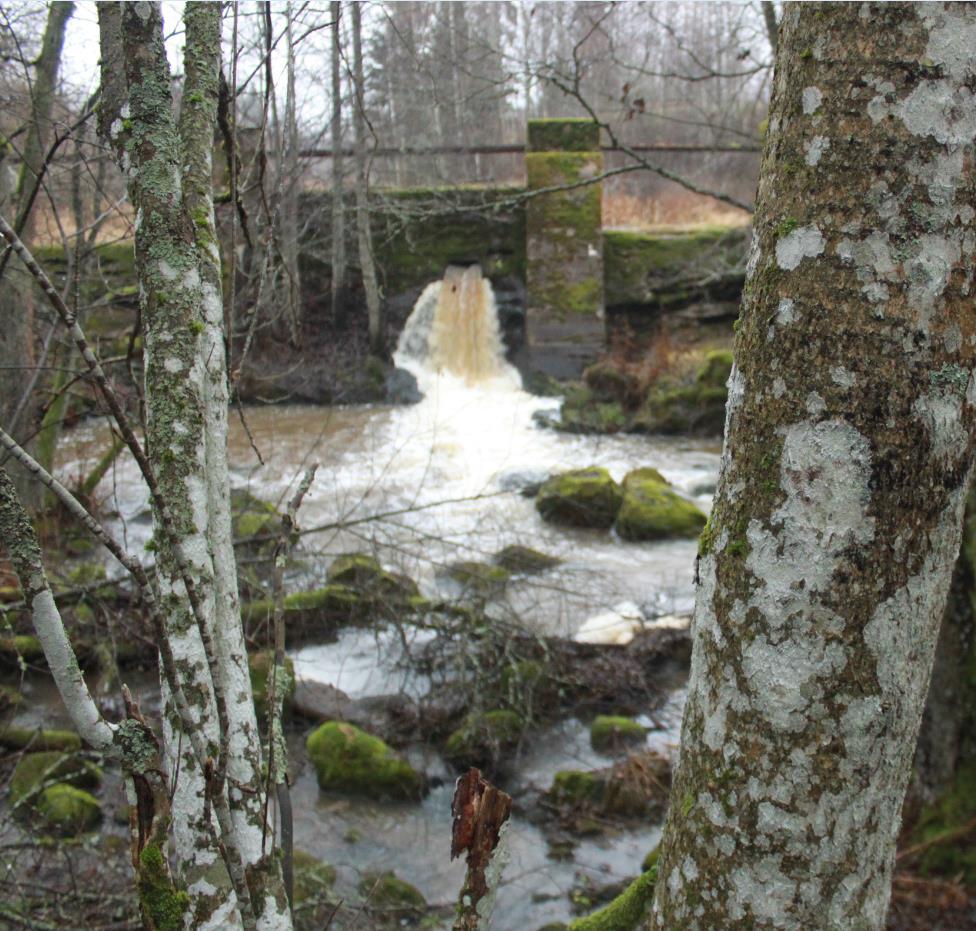 Erityiskohdelajina jokihelmisimpukka. Budjetti n. 1,67 miljoonaa euroa Omarahoitusosuus (40 %) Metso-ostot ja rauhoitukset (n.