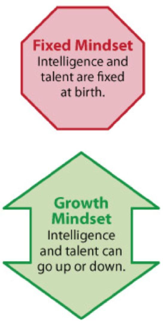 Growth mindset (uskomme, että voimme kehittyä ja muuttua), kykyä kehittyä suuntaan jos toiseenkin.