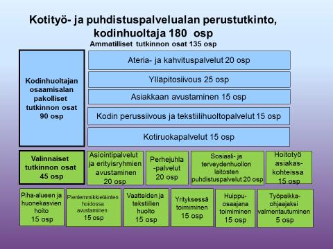 Kotityö- ja puhdistuspalvelujen perustutkinto, 180 osp