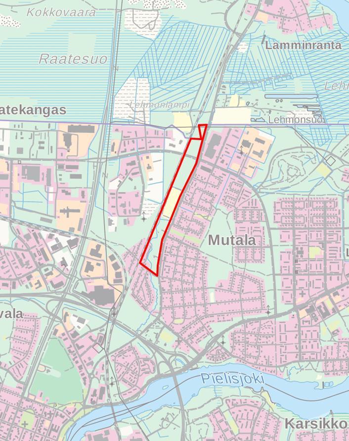 1 1. JOHDANTO Ramboll Finland Oy teki Nurmeksenpuiston alueelle luontoselvityksen Joensuun kaupungin toimeksiannosta.