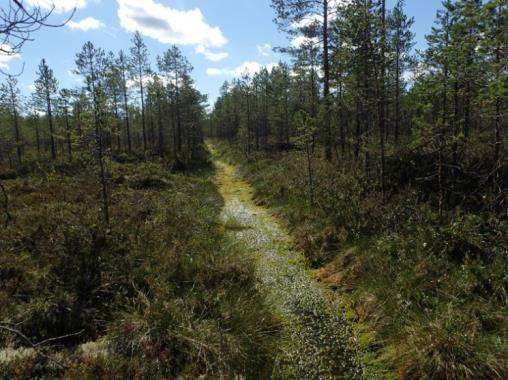 Voimajohtorakentaminen sijoittuu riittävän etäälle ja on luonteeltaan sellaista, ettei Natura-alueen suojelun perusteena oleville vesistöjen, pienvesien tai soiden vesitaloudelle aiheudu vaikutuksia.