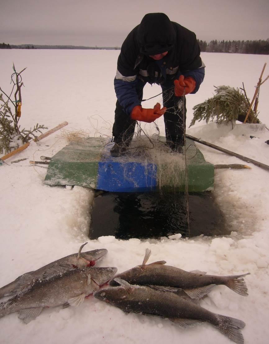 Veneenlaskuverkoston tarve Etelä-Savossa lähes 50 000 kesämökkiä ja vuosittain alueella kalastaa noin 200 000 henkilöä. Viehekalastuksen suosio kasvaa!