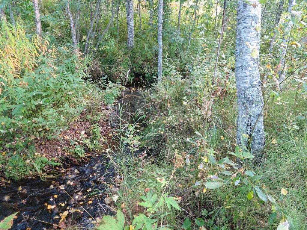 Joskin myös Lapin läänissä niiden määrä on vähentynyt. Kuva 9.