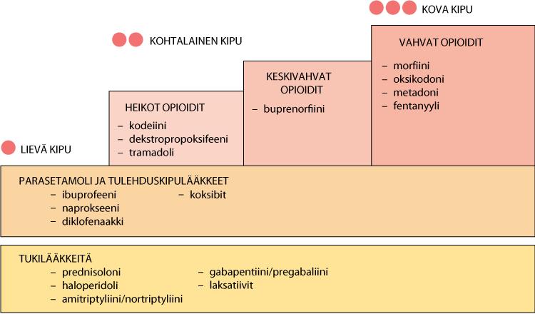 säännöllisesti. (Haapio ym. 2000, 160; Fellman & Metsäranta 2013, 30 32.) Käytettäviä opioideja ovat morfiini, fentanyyli sekä alfentaniili. Opioidit kohottavat kipukynnystä ja sedatoivat.