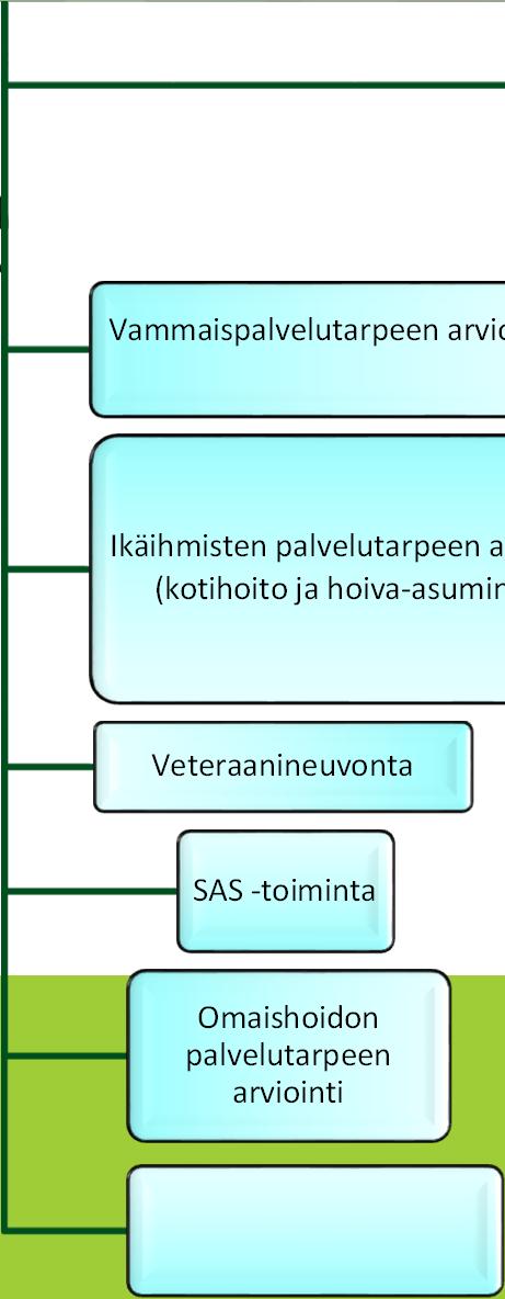 Vammaispalvelut, sosiaalityö, vaikeavammaisten