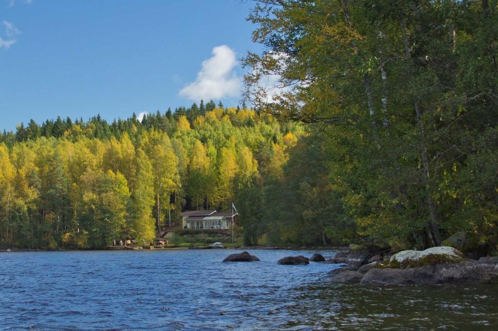 Niemen itäpuolella oleva loma-asunto. Korkeuseroa niemialueella on noin 6 metriä rannasta niemen keskiosan mäen laelle. Haikankärjen kiinteistöön sisältyy rantaviivaa 960 m.