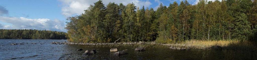 Niemenkärjestä etelään työntyvä niemeke ja lahti.