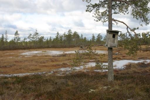 länteen katsottuna Eteläosan 