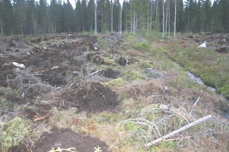 Ojitusmätästys Kohteina veden vaivaamat soistuvat kankaat ja turvemaat