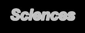 TIETEIDEN MAAILMAT Sciences of the natural world Causality Evolution Sciences of the artificial world: Behavioral science Understanding Nature: An orderly
