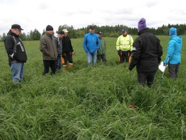 4.2016 Liperi Yhteisnavetan perustaminen käytännössä 2 4 1.6.2016 Liperi Nurmiviljelyn tehostaminen, 2. pv 5 3 6.6.2016 Nurmes Nurmiviljelyn tehostaminen-pellonpiennartilaisuus 5 3 yhteensä 47 osallist.