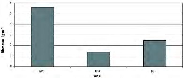 3.6.2 Biomassa Jyväsjärven keskimääräisissä eläinplanktonbiomassoissa (kuva 46) vuosilta 1969 1971 on huomioitava eri laskentamenetelmistä johtuvat erot.