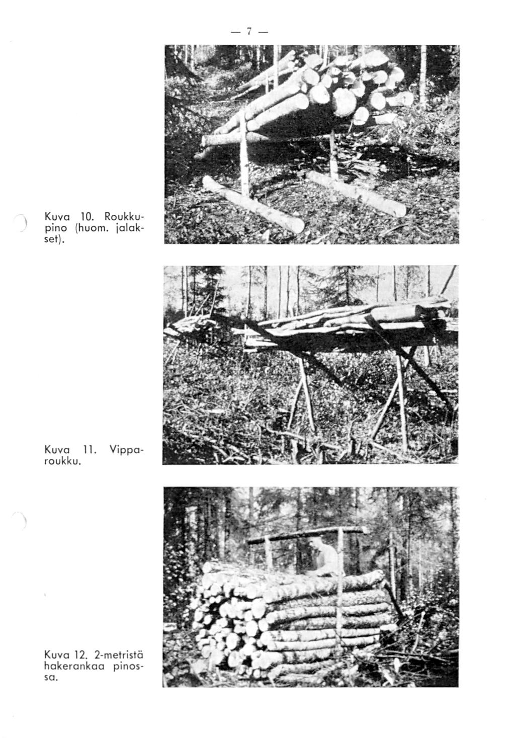 -7- Kuva 10. Roukkupino (huom. jalakset). Kuva 11.